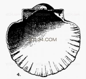 SHELL_0227